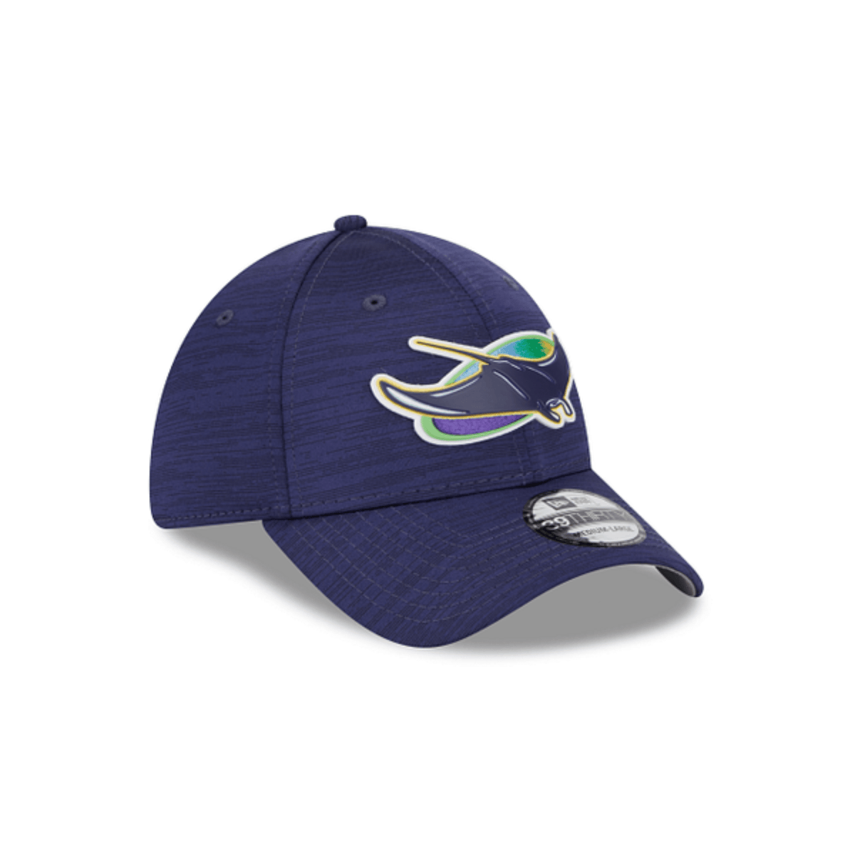 Tampa Bay Rays 9Forty Stretch Snapback Hat Heads and Tails