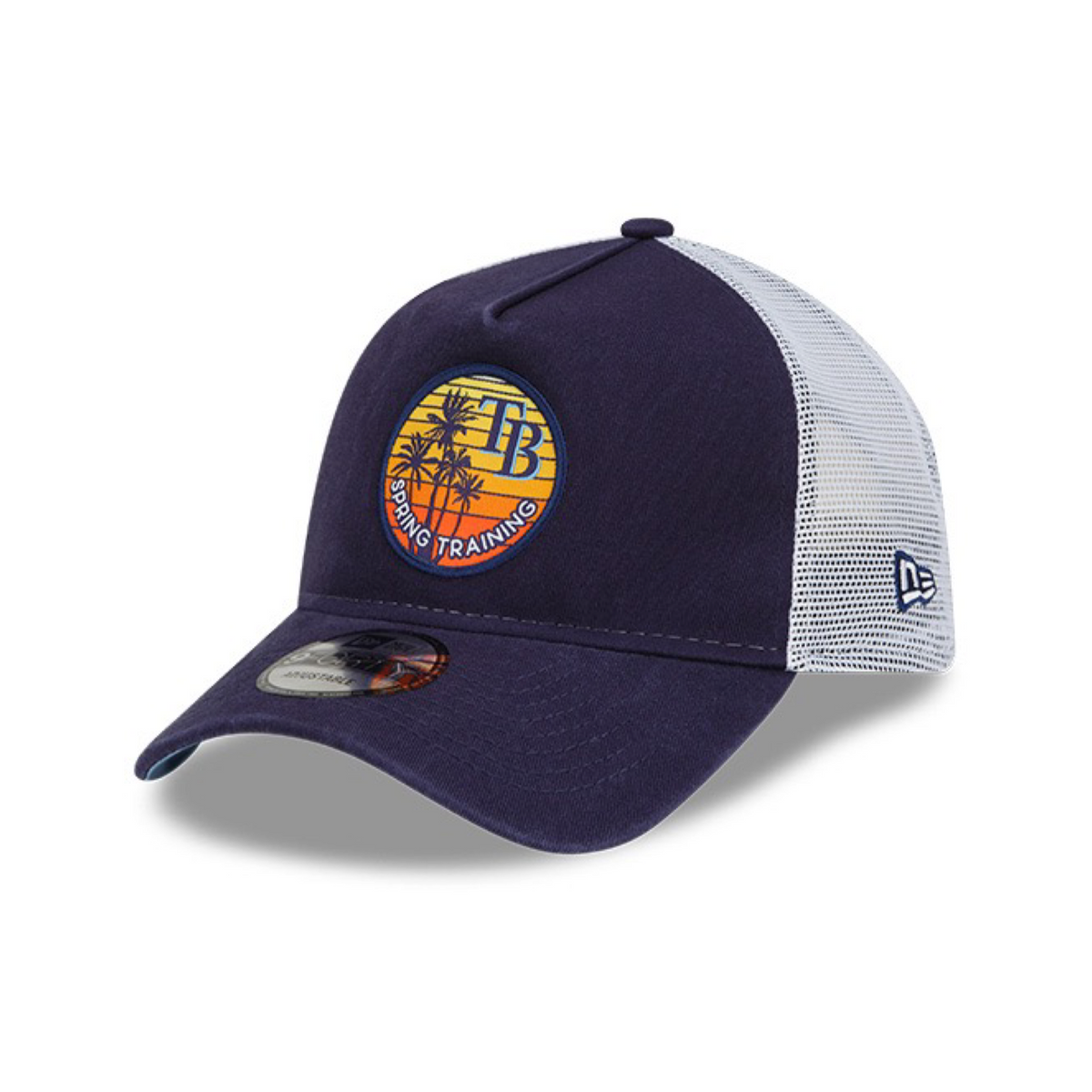 Tampa Bay Rays 2022 MLB Spring Training Sunset 9Forty Snapback Hat – Heads  and Tails