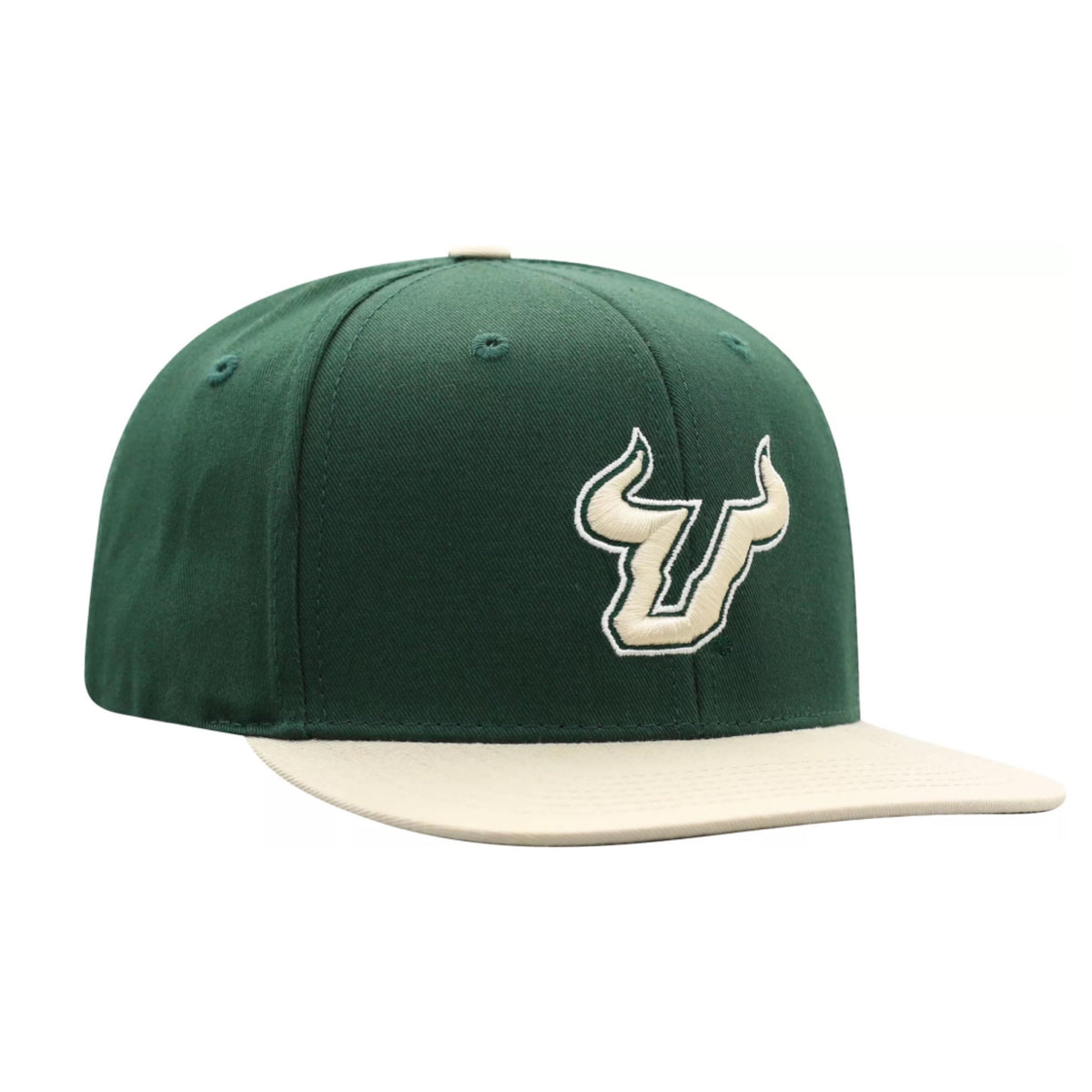 Tampa Bay Lightning Youth Primary Logo Precurve Snapback Hat