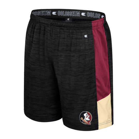 Florida State Seminoles Colosseum Youth Consistency Shorts