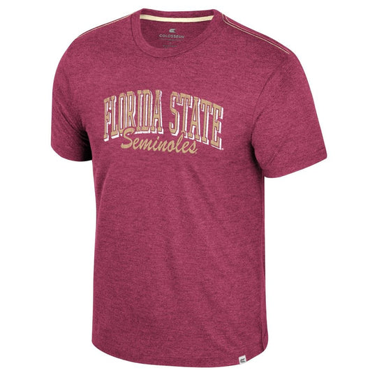 Florida State Seminoles Physicist Tee