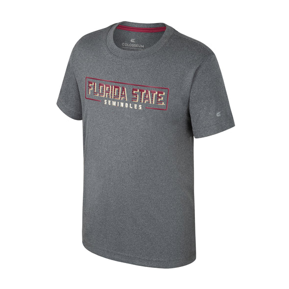 Florida State Seminoles Youth Arcade Tee