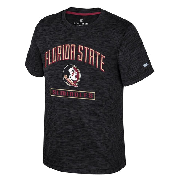 Florida State Seminoles Youth Upton Tee