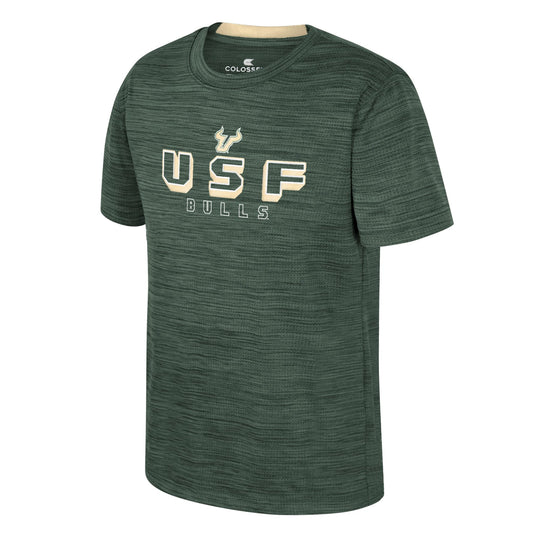South Florida Bulls Colosseum Youth Heeler Performance Tee
