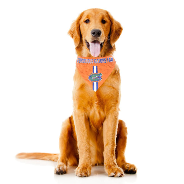 Florida Gators Reversible Pet Bandana