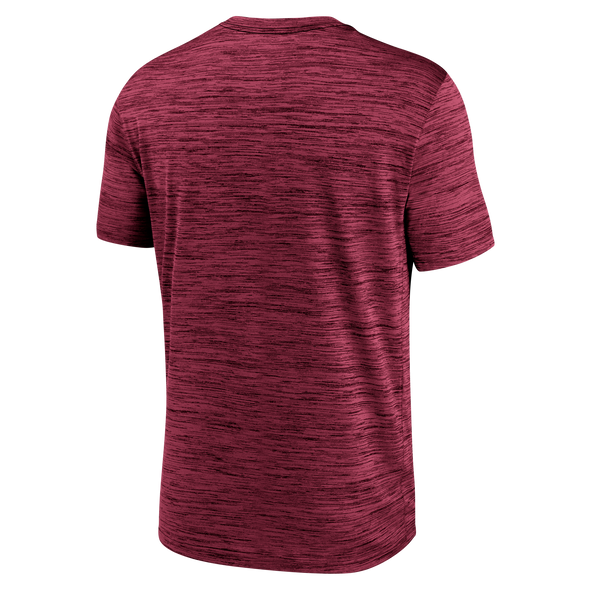 Florida State Seminoles Nike Velocity Center Block Tee