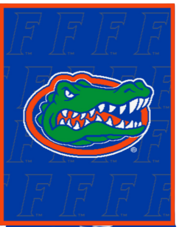 Florida Gators 63" x 53" Checkerboard Team Logo Knit Blanket