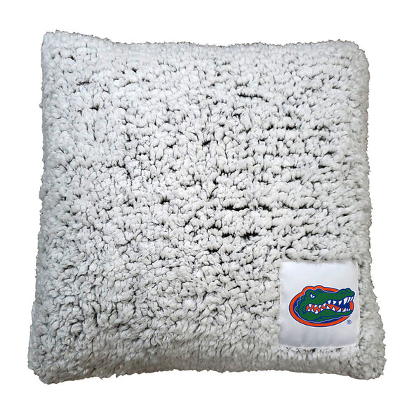 Florida Gators 16" x 16" Frosty Throw Pillow