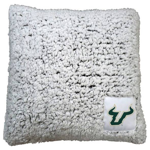 South Florida Bulls 16" x 16" Frosty Throw Pillow