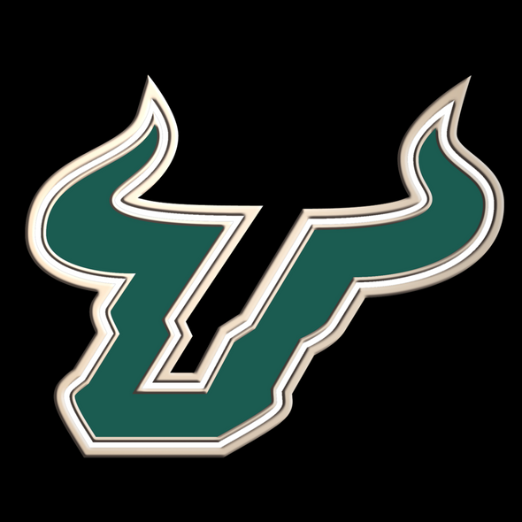 South Florida Bulls Spirit Medallion Diploma Frame