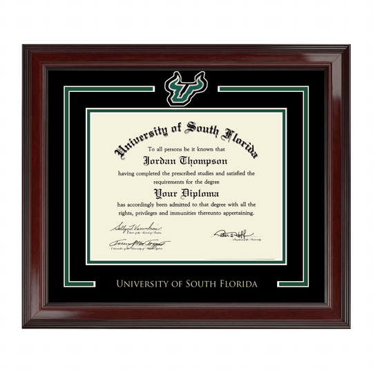 South Florida Bulls Spirit Medallion Diploma Frame