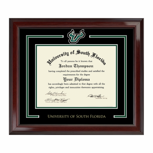 South Florida Bulls Spirit Medallion Diploma Frame