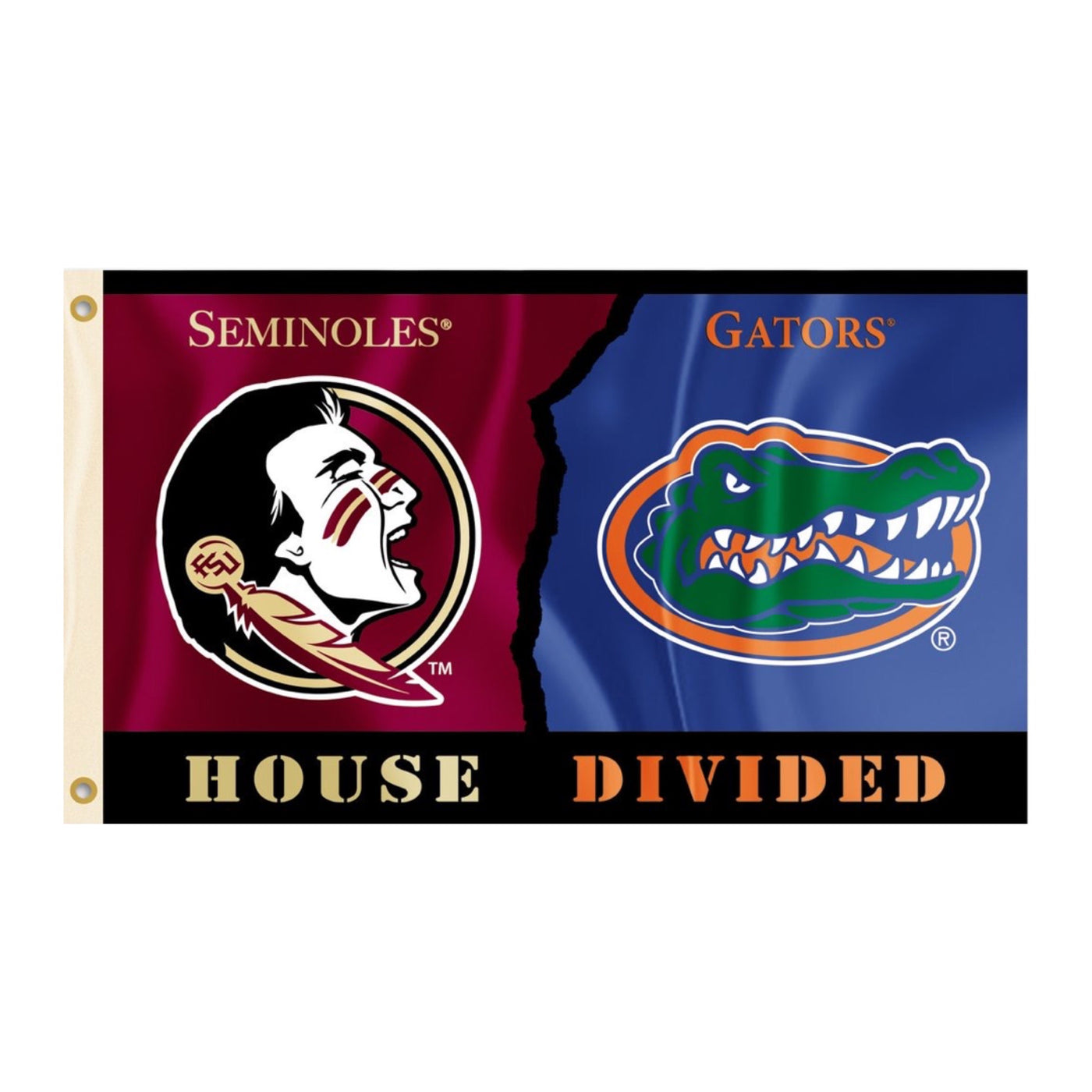 House Divided Flag