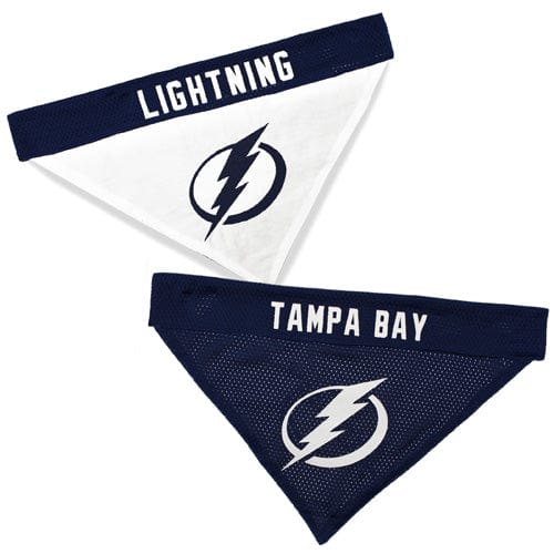 Tampa Bay Lightning Reversible Pet Bandana