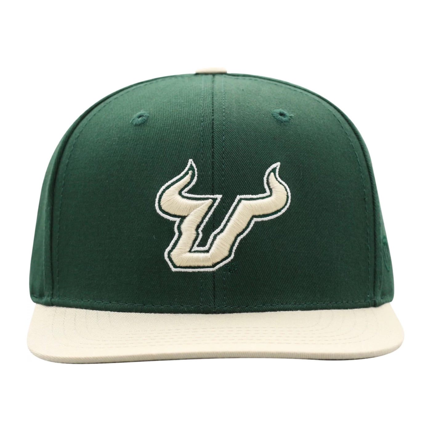 Tampa Bay Lightning Youth Primary Logo Precurve Snapback Hat